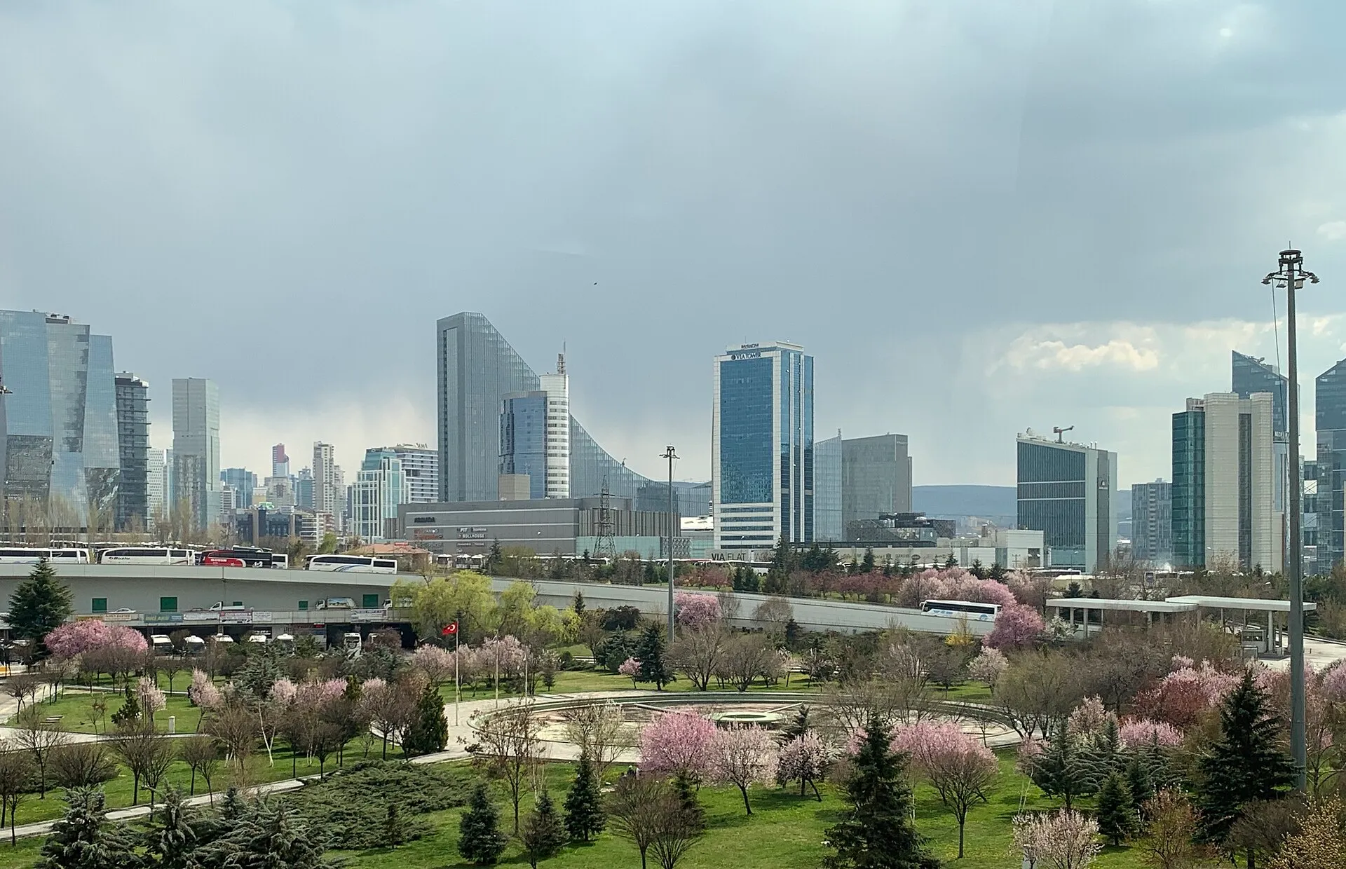 The modern skyline of Ankara rising behind a park in spring blossom