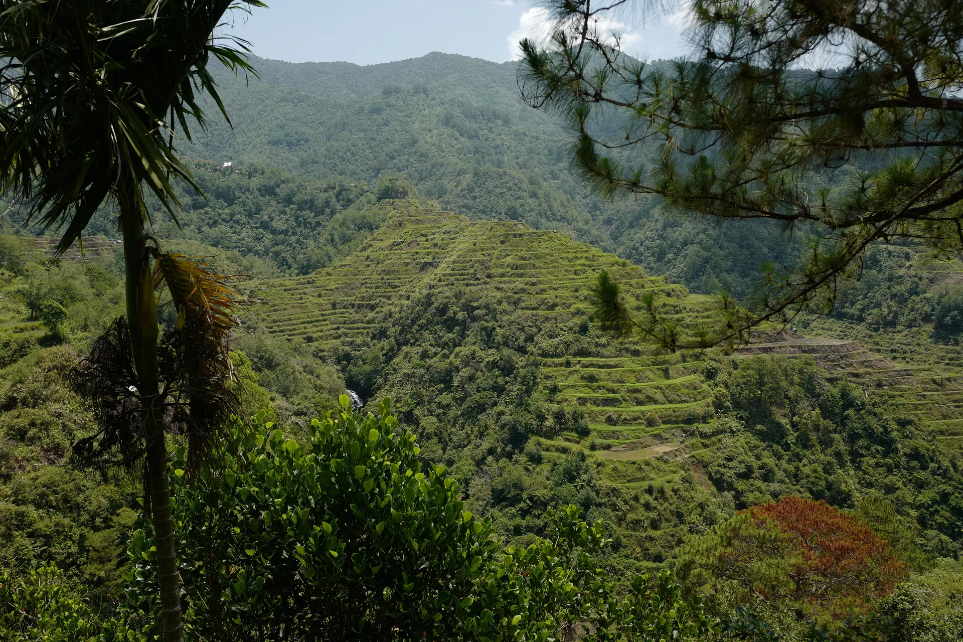 Green amphitheatre rice terraces at Banaue, Ifugao, Philippines