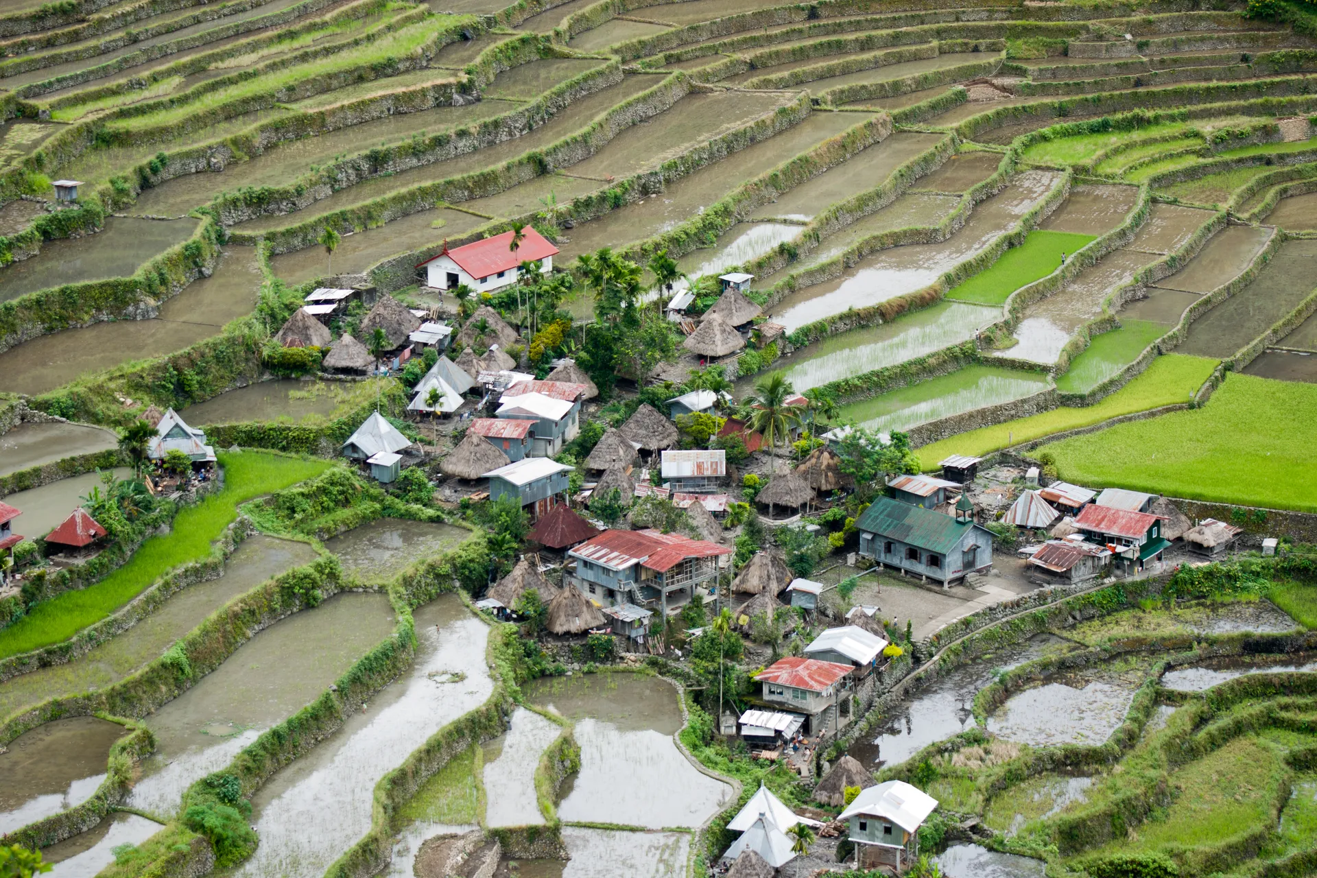 The Batad rice terraces and village, Philippines
