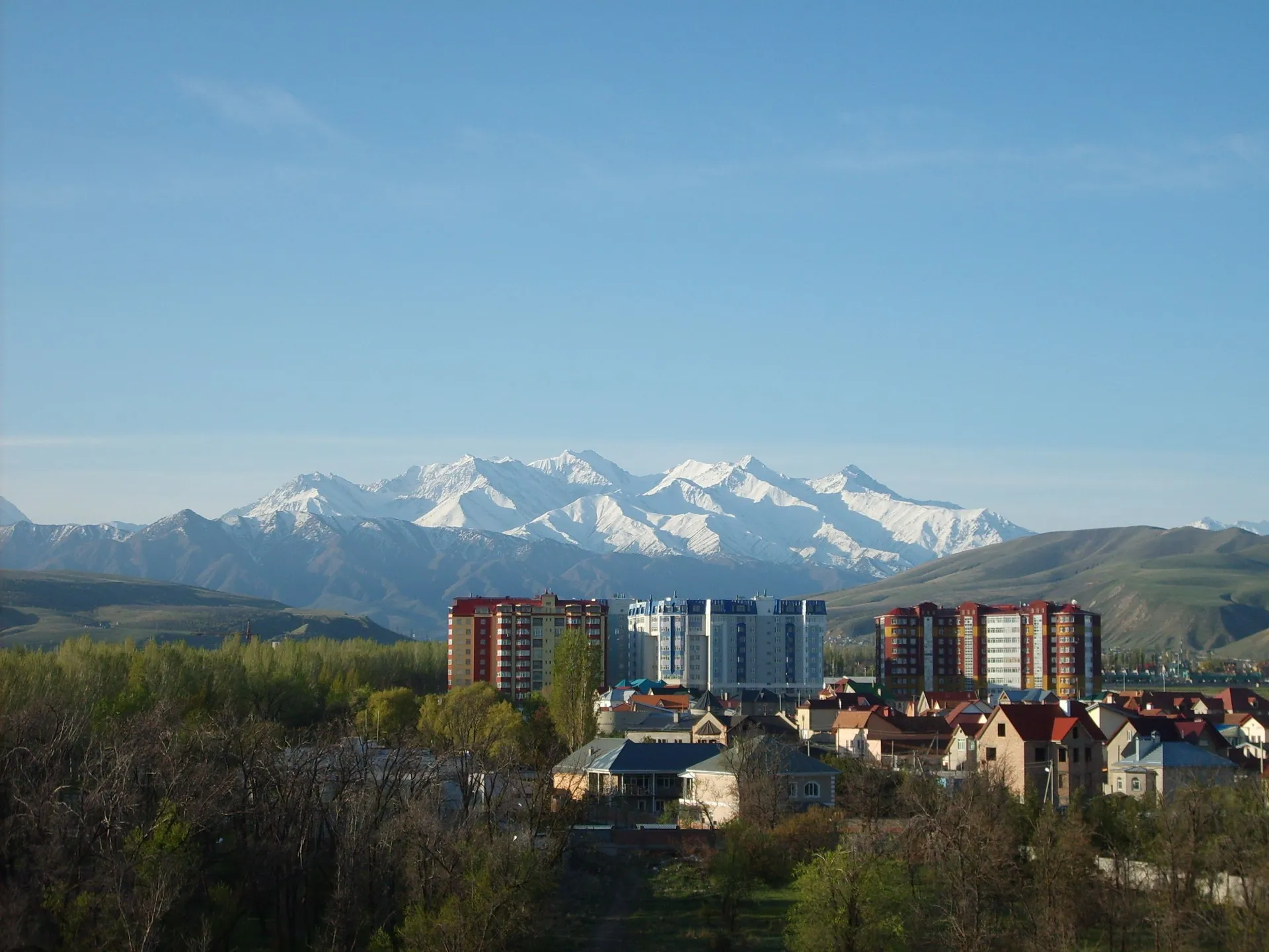 A leafy residential district of Bishkek with apartment blocks and houses, backed by the snow-capped peaks of the Kyrgyz Ala-Too range of the Tian Shan under a clear spring sky