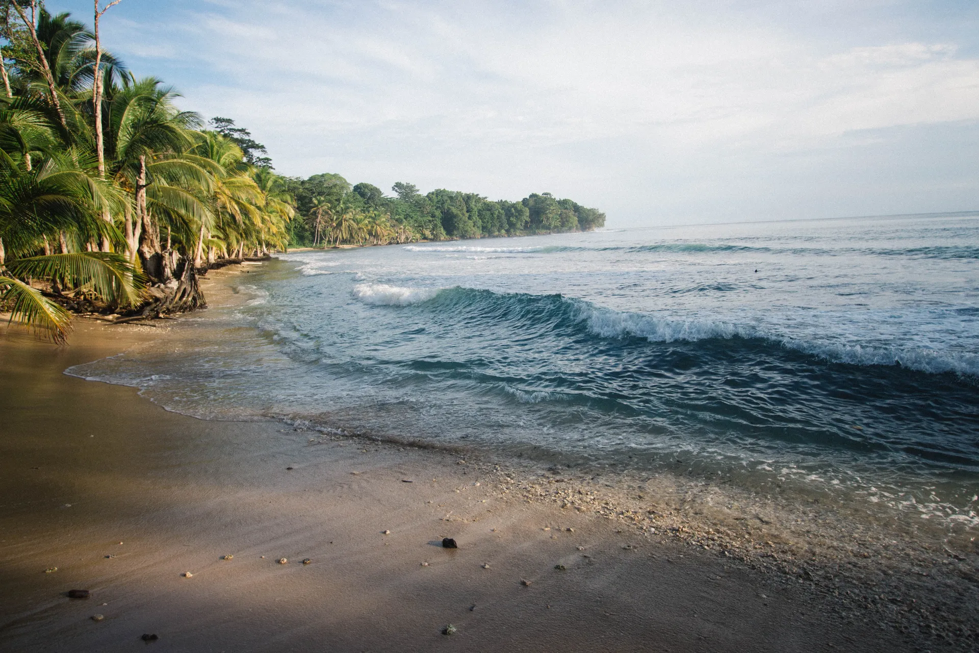 A Caribbean beach in Bocas del Toro, Panama