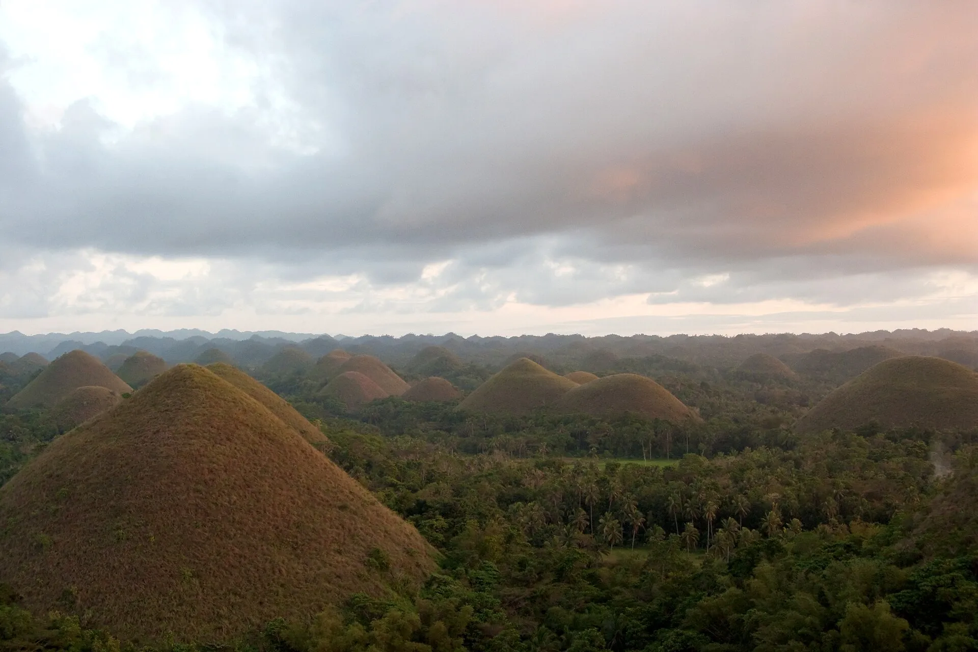 The Chocolate Hills of Bohol in the Philippines at sunset, rows of conical grass covered mounds rising above palm forest under a pink and grey sky.