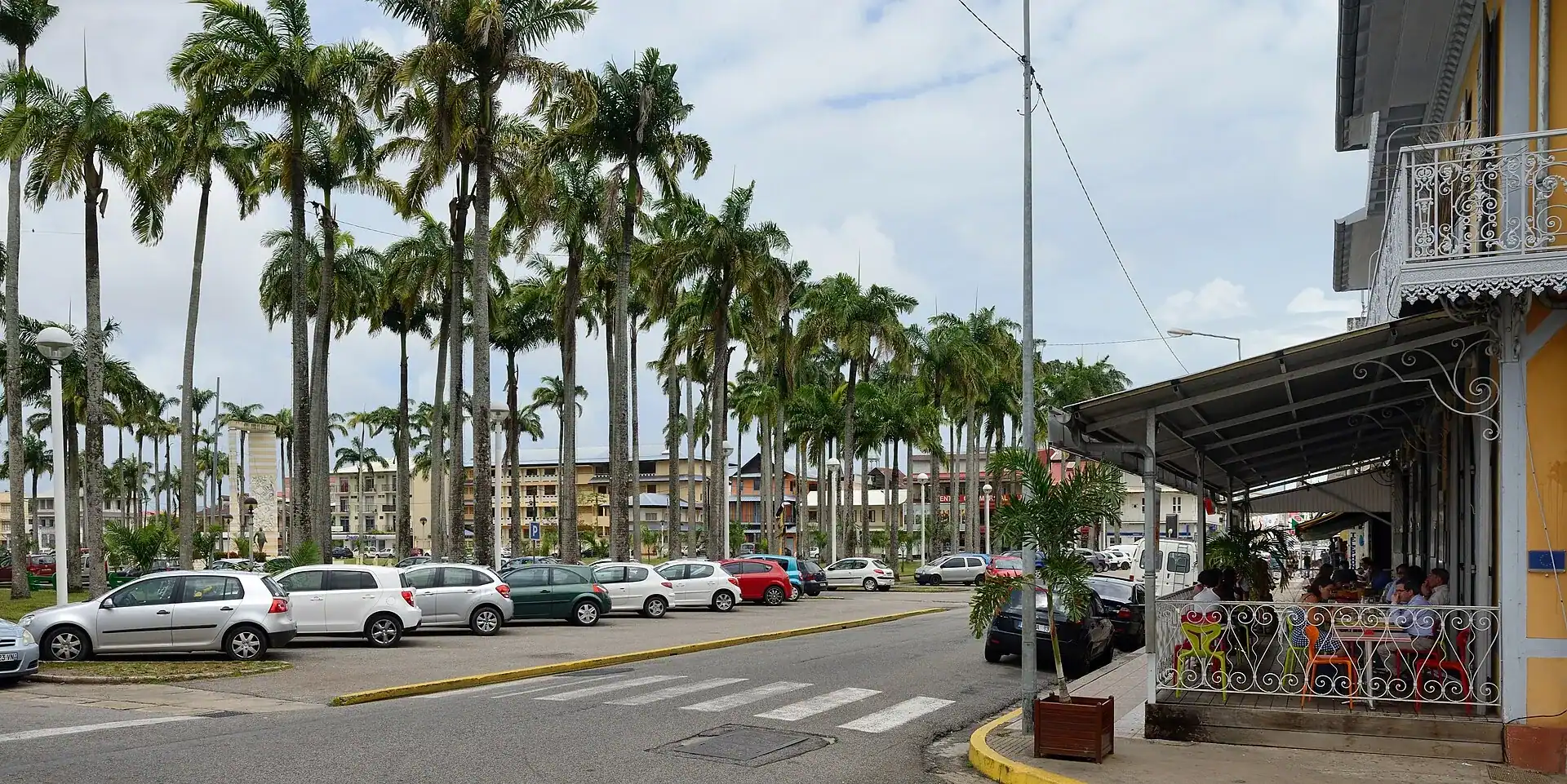 The royal palms of the Place des Palmistes in Cayenne