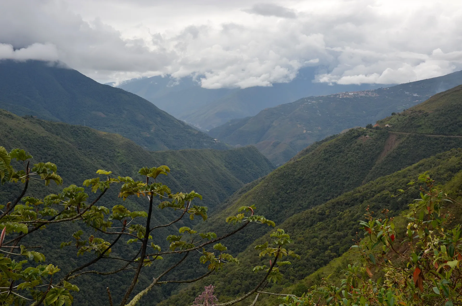 The lush Yungas valley with Coroico on a ridge, Bolivia