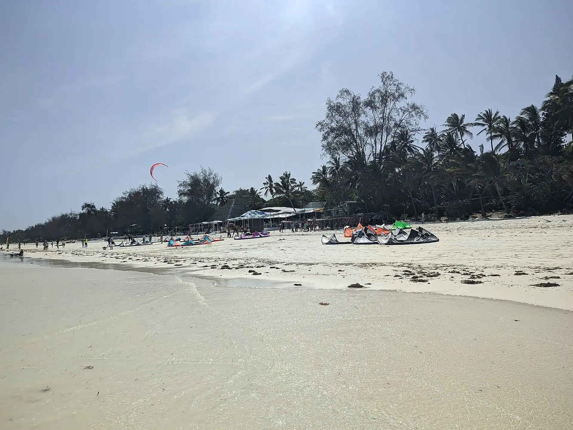 White sand and palms on Diani Beach south of Mombasa