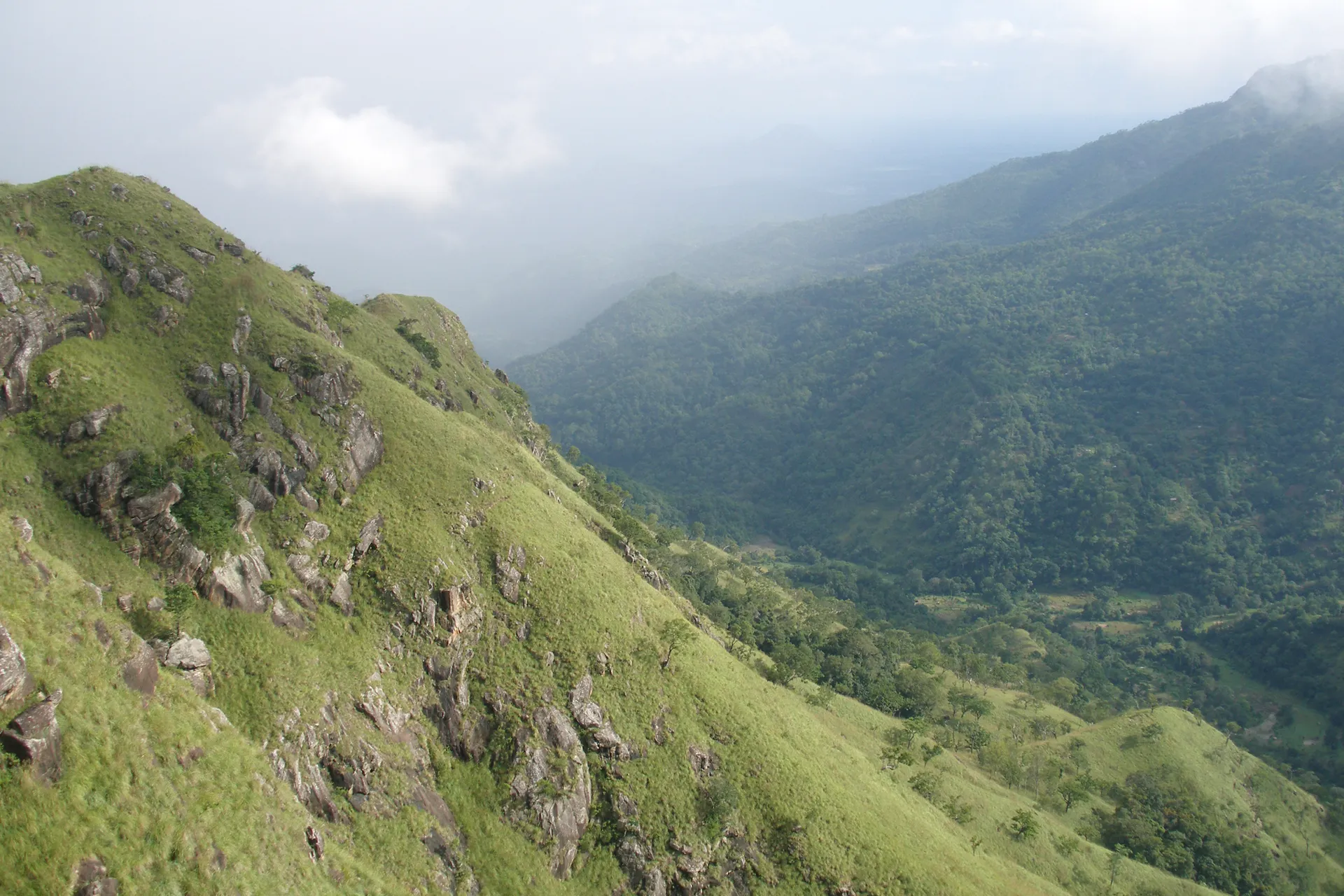 A lush green mountain ridge above Ella in Sri Lanka's hill country, forested slopes falling away into a misty valley of the Ella Gap