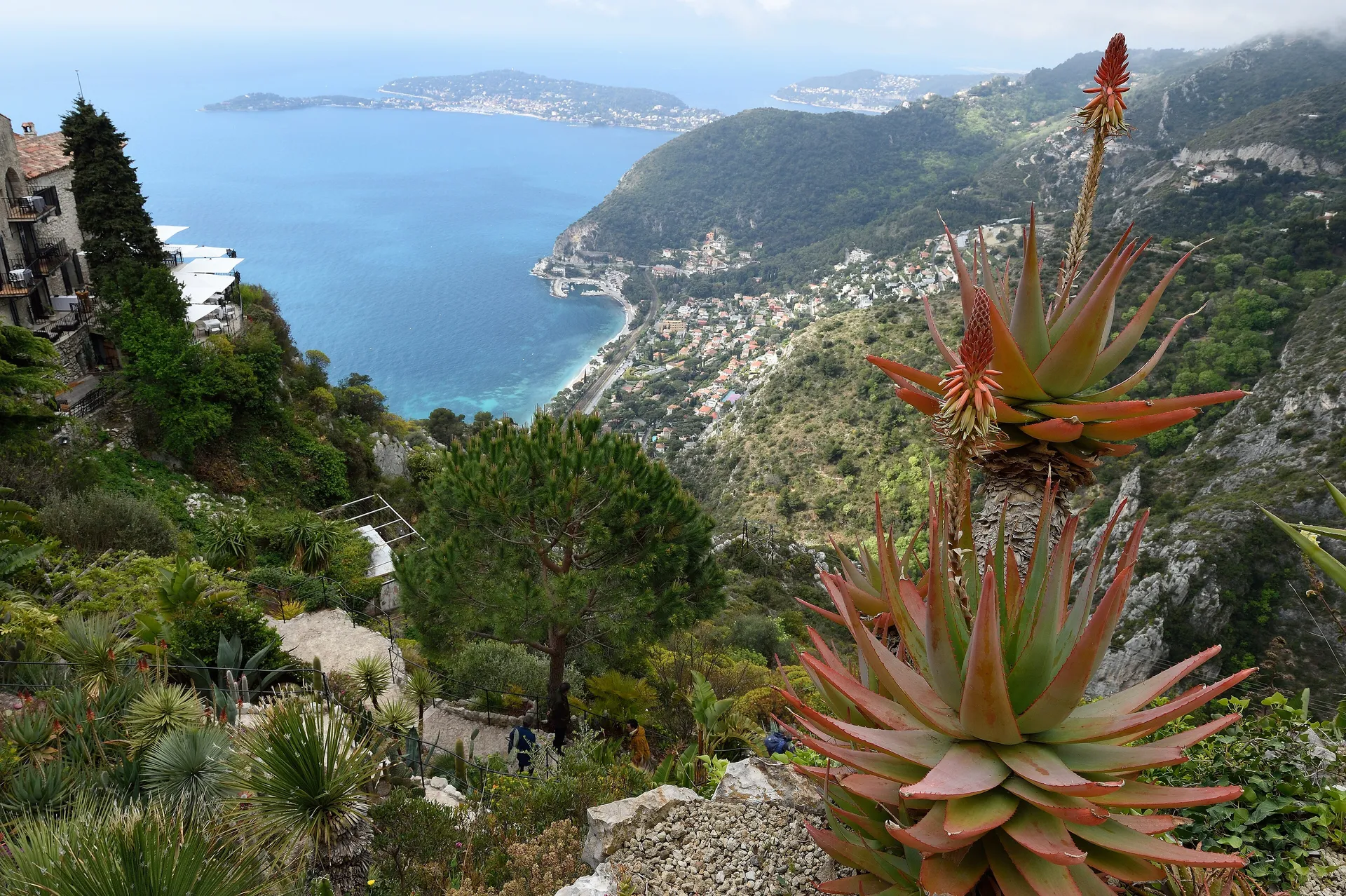 The exotic garden and Mediterranean coastline seen from the perched village of Eze, France