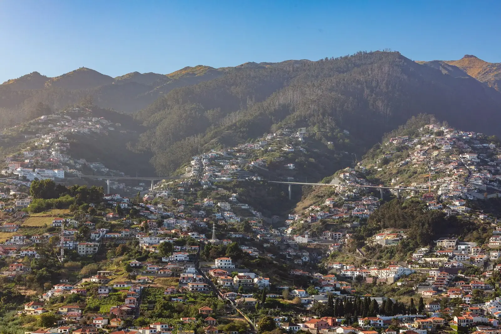 Funchal cityscape seen from Pico dos Barcelos viewpoint, white houses with orange roofs on green hillsides under blue sky
