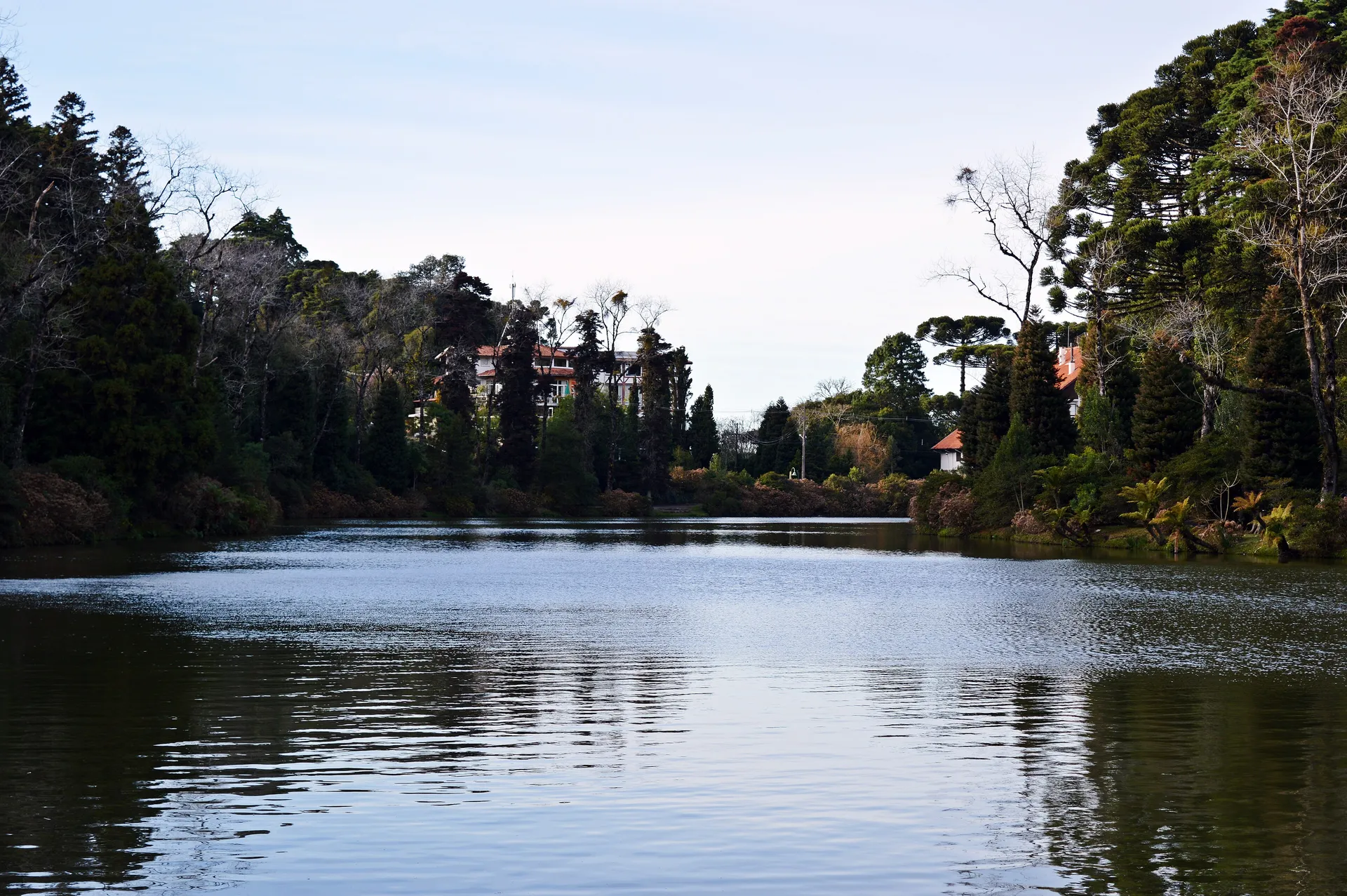 Lago Negro lake ringed by pines and alpine-style houses in Gramado, Brazil