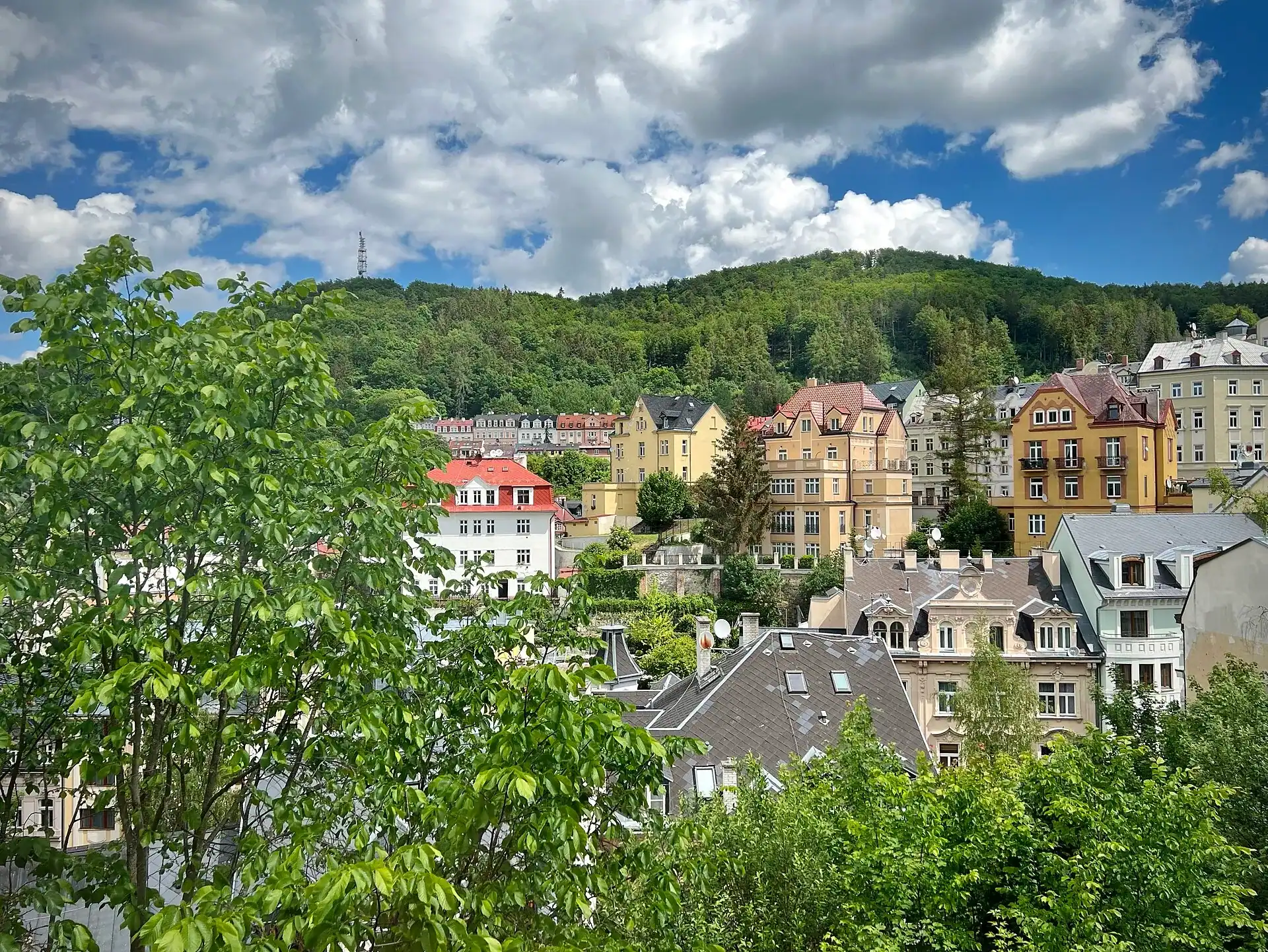 The spa houses of Karlovy Vary in their wooded valley