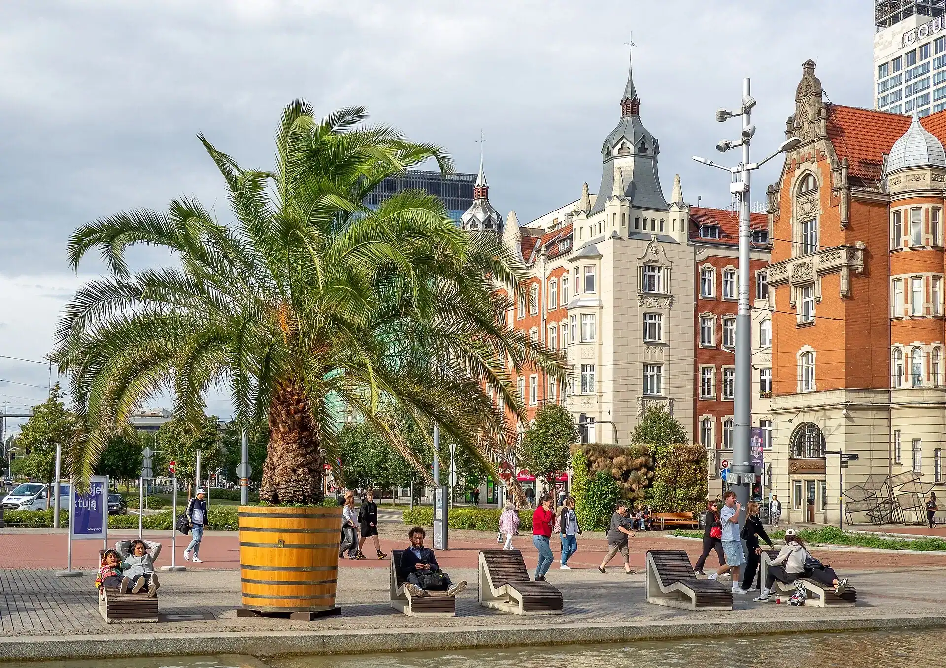 The main square in Katowice with its palms and tenement facades