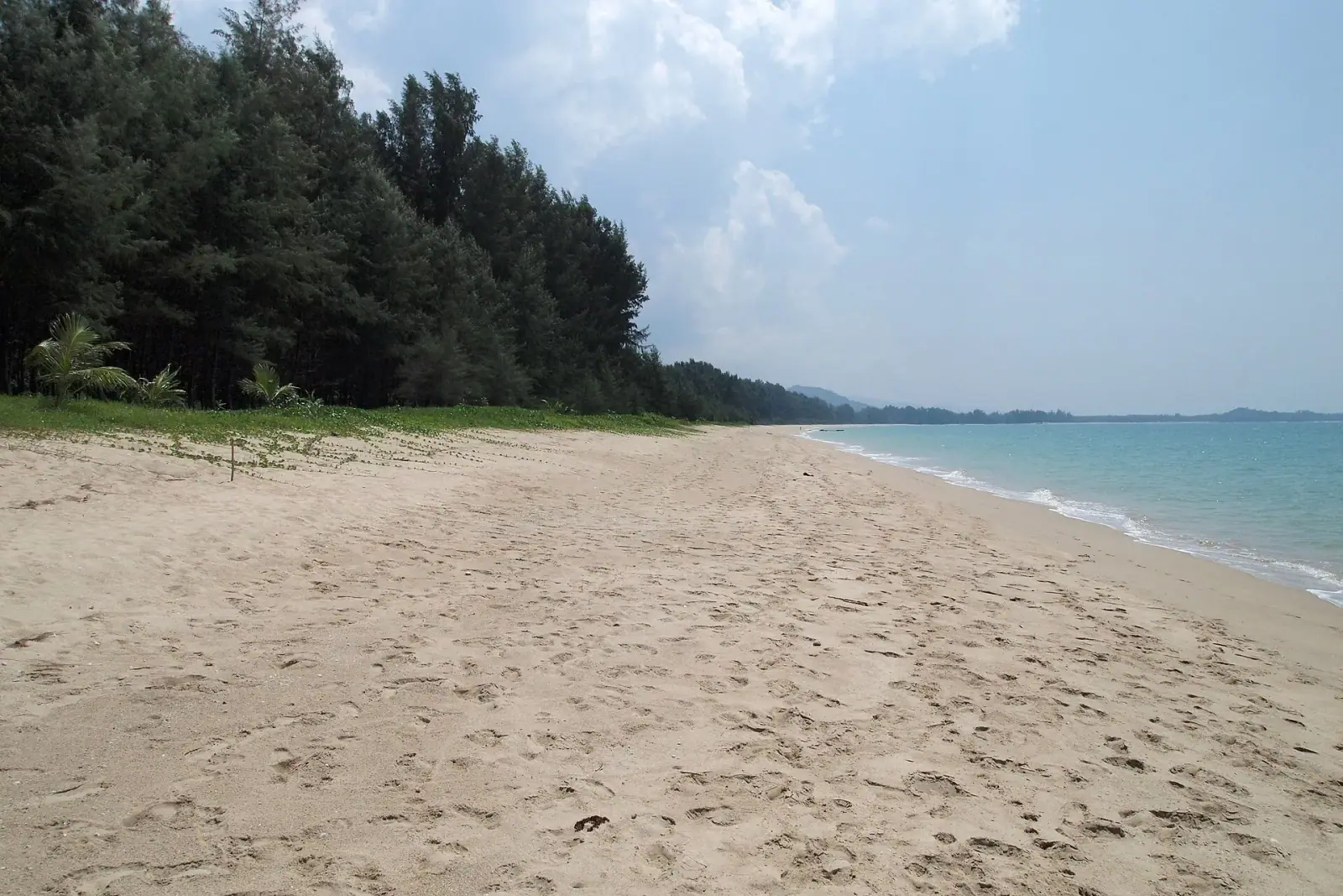 Empty white-sand beach at Khao Lak with casuarina trees and turquoise Andaman Sea