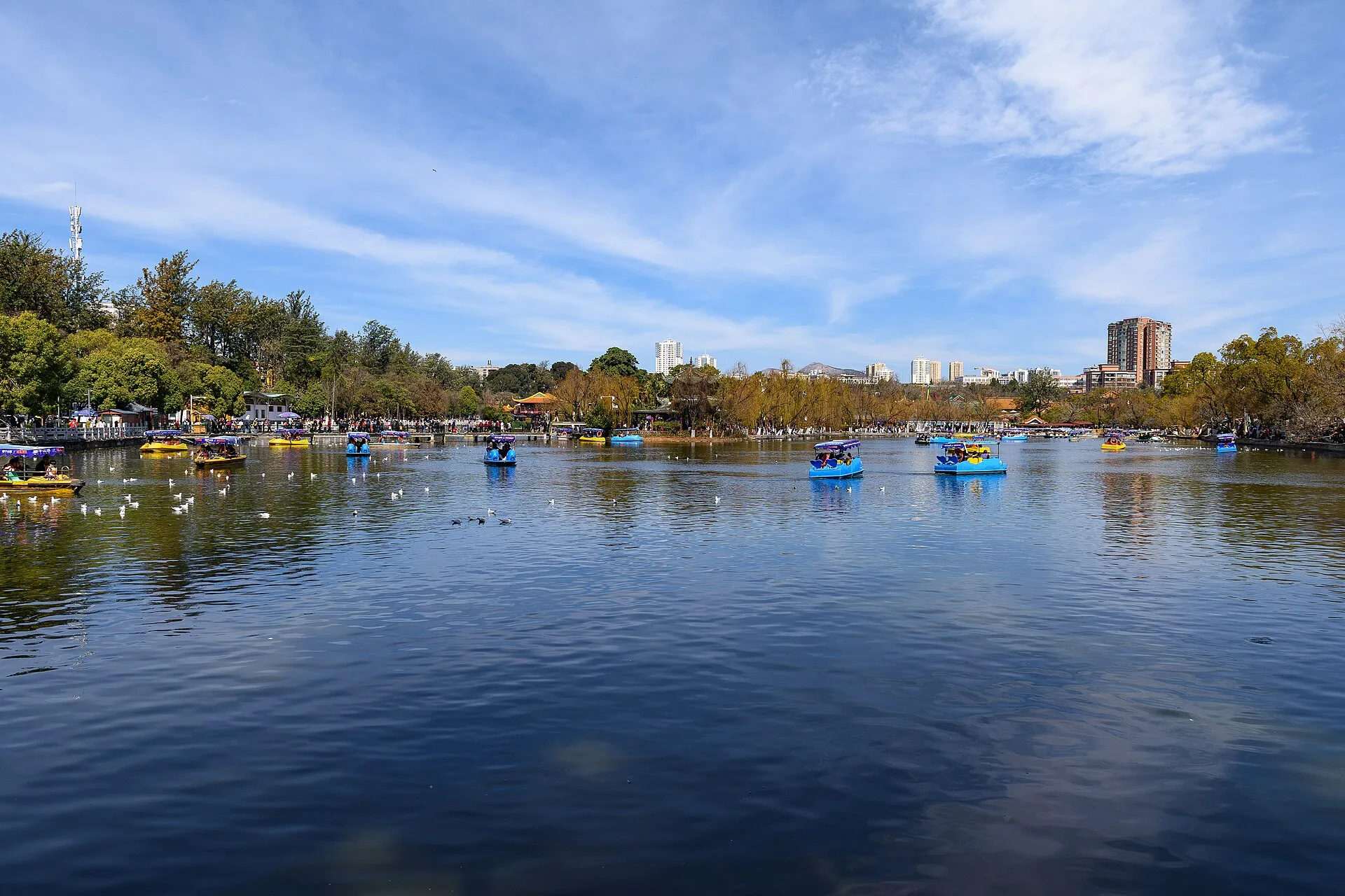 Green Lake (Cuihu) Park in Kunming with paddle boats, willows and the city skyline under blue sky