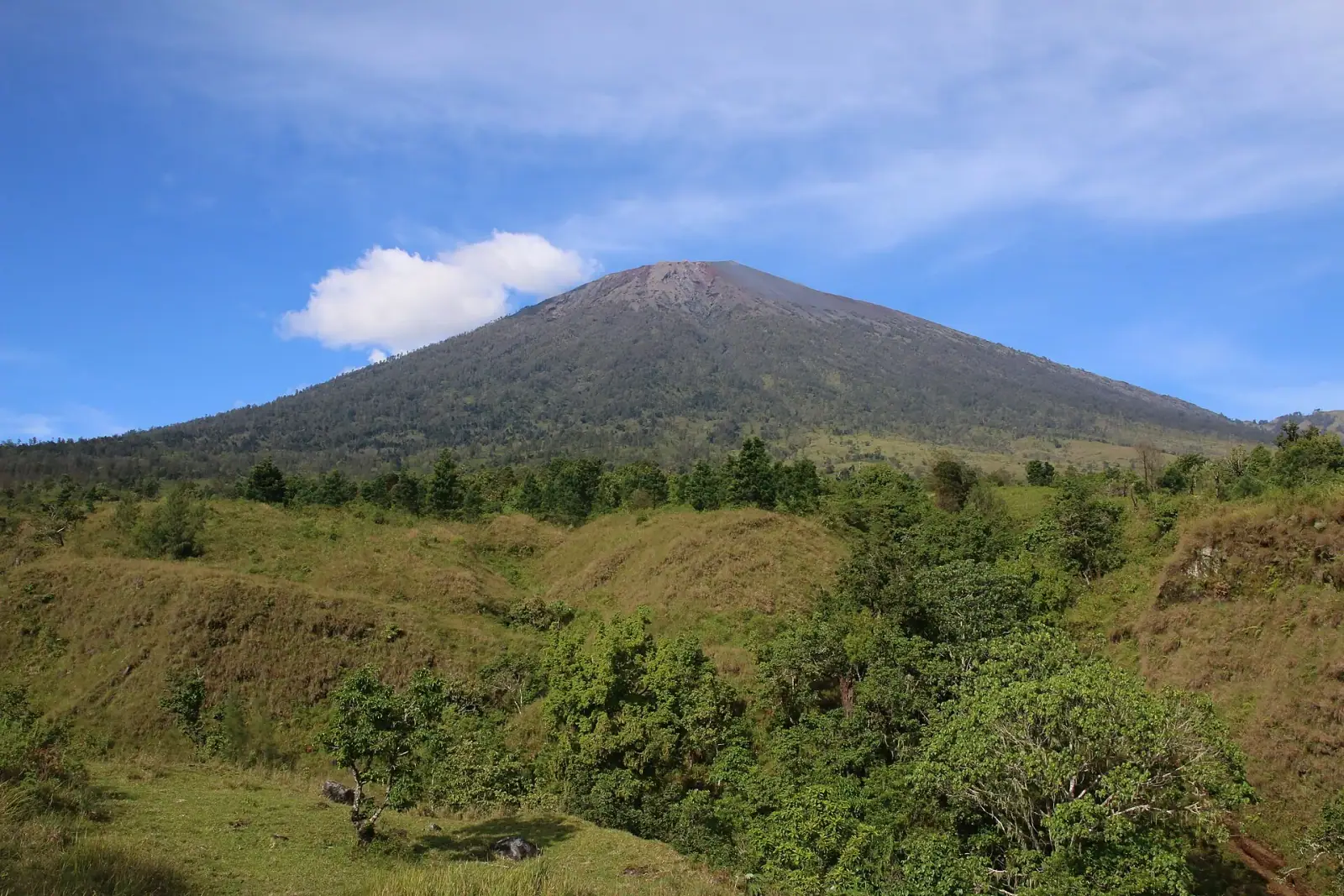Mount Rinjani volcanic cone rising above the Sembalun highlands, Lombok, Indonesia