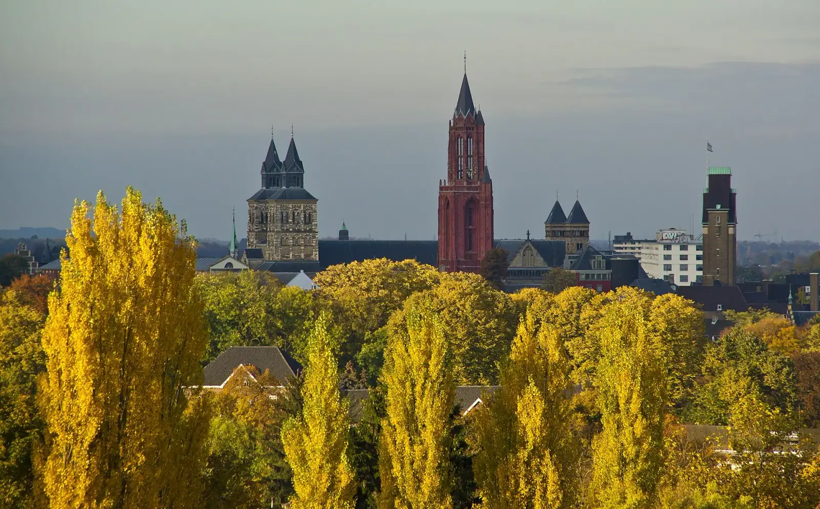 Autumn skyline of Maastricht with Sint-Servaasbasiliek and Sint-Janskerk towers rising above golden trees