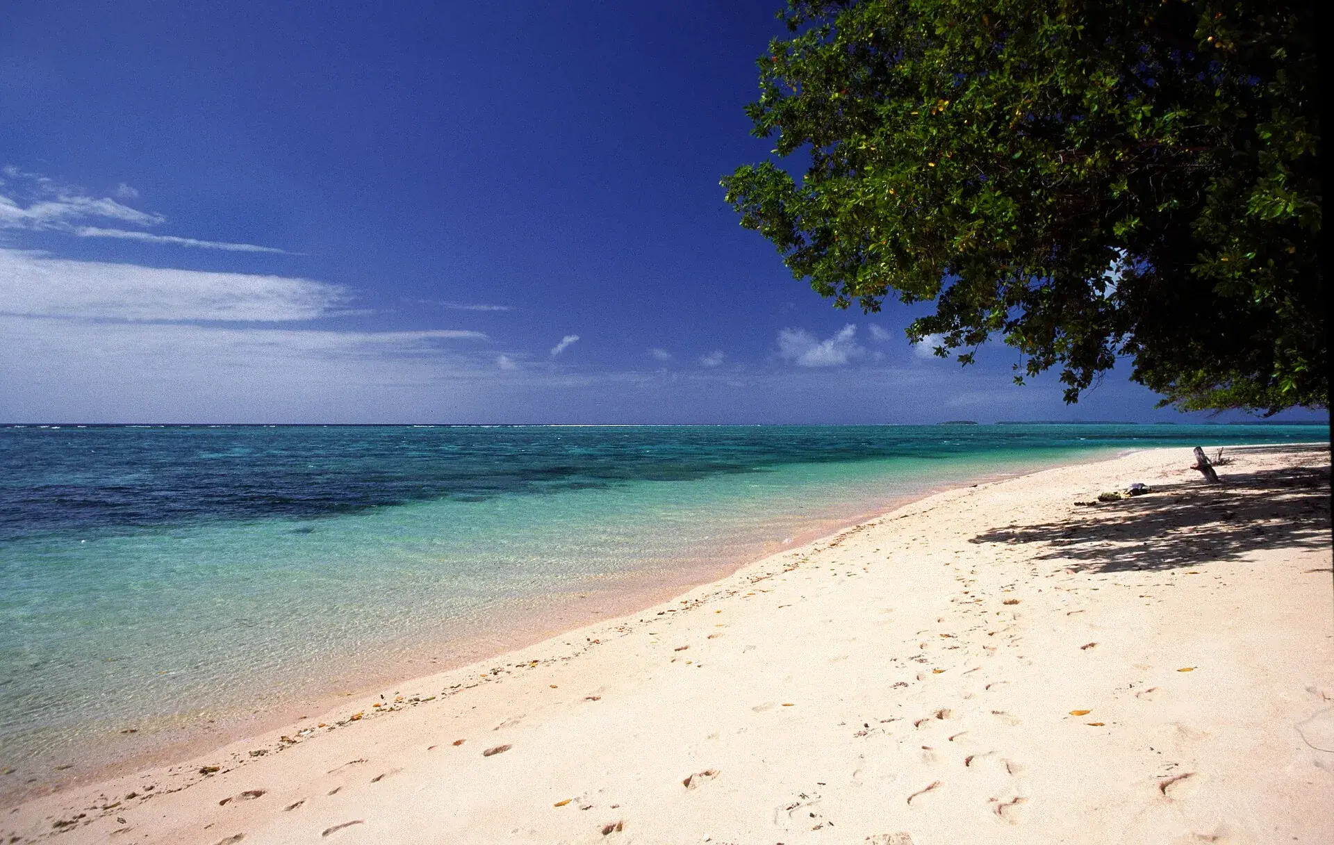 A beach on Majuro atoll in the Marshall Islands