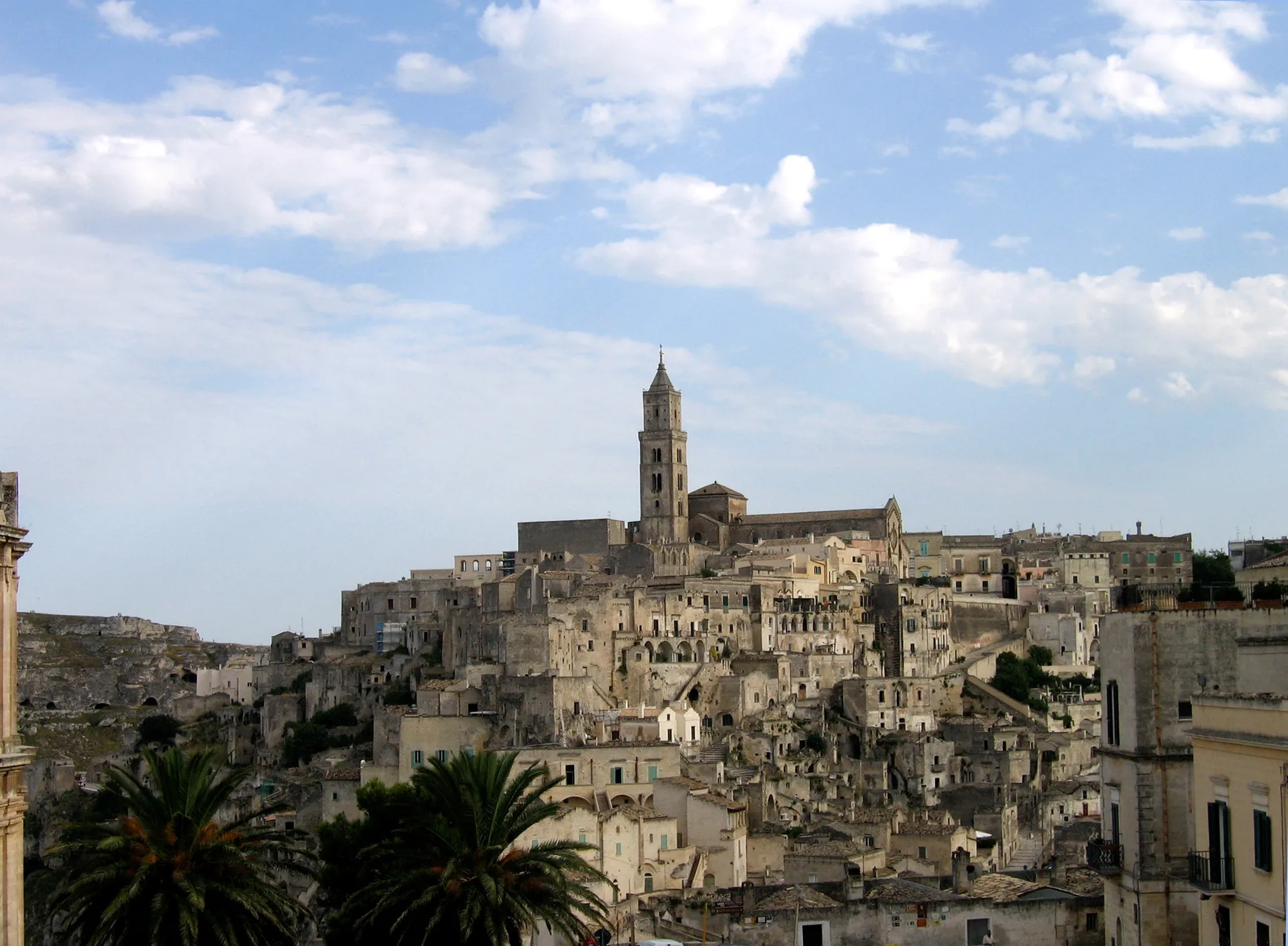 The ancient Sassi of Matera, tufa-stone cave houses cascading down a hillside topped by the cathedral bell tower, with palm trees in the foreground under a blue sky
