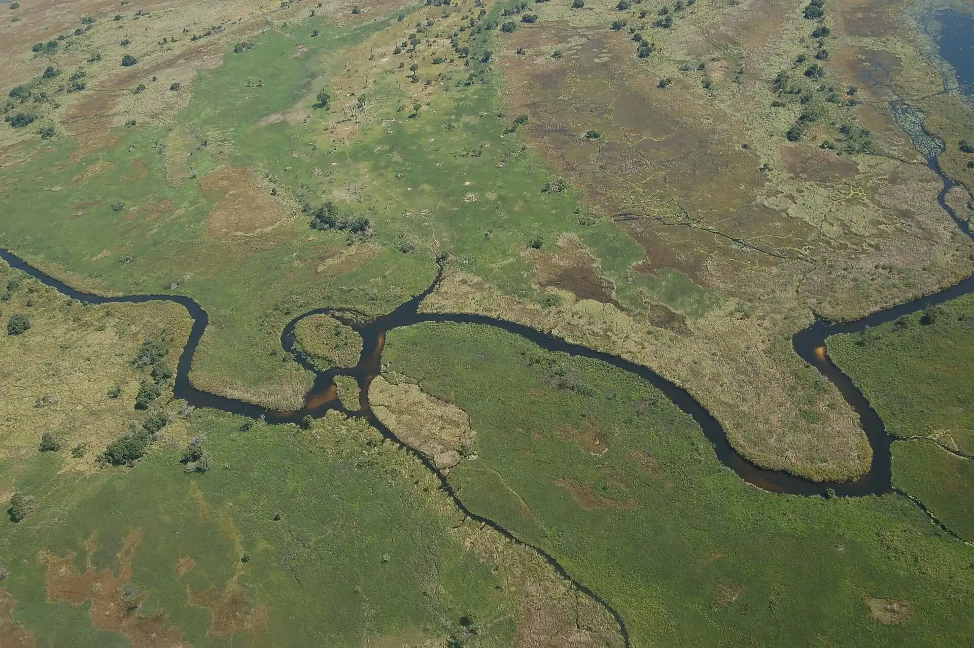 The channels of the Okavango Delta from the air