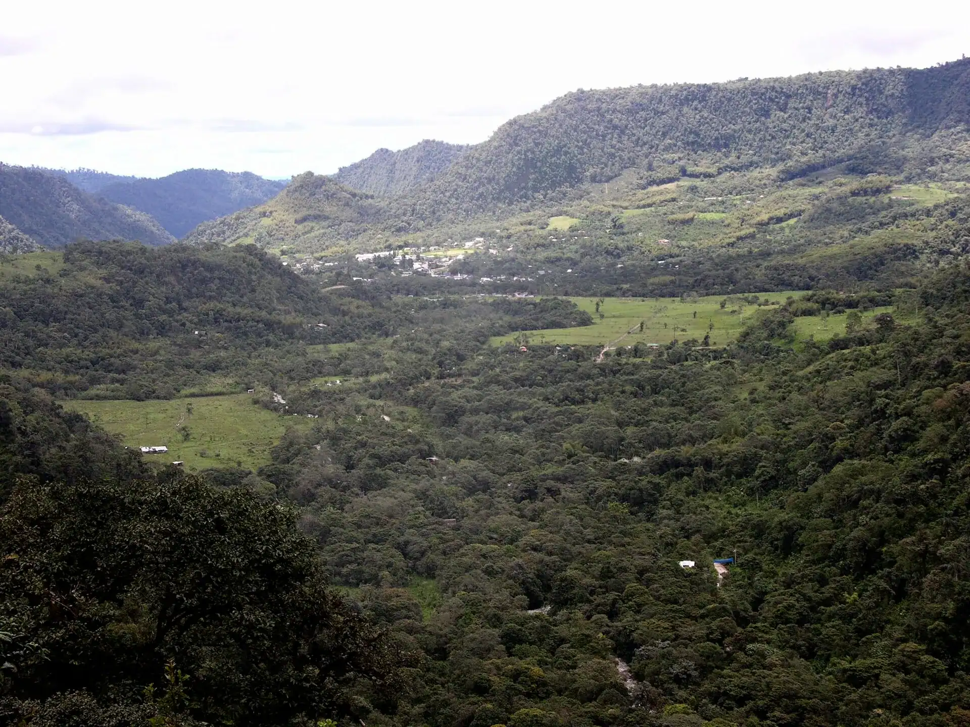 The cloud forest valley around Mindo
