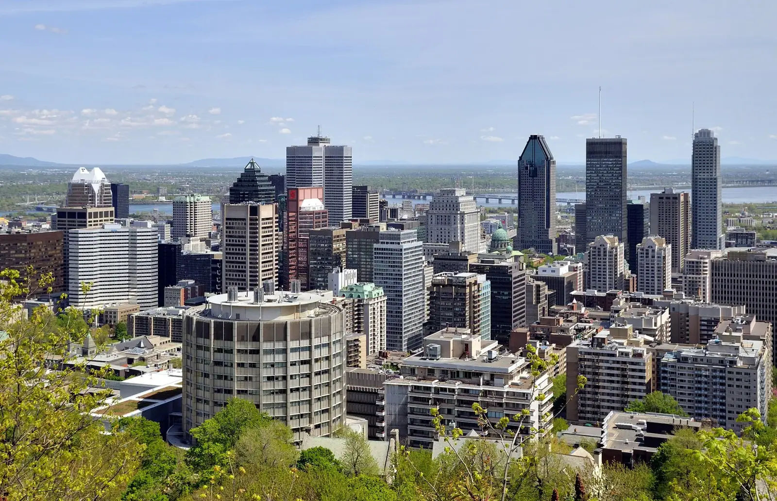 Montreal downtown skyline viewed from Mount Royal, with the St. Lawrence River in the background