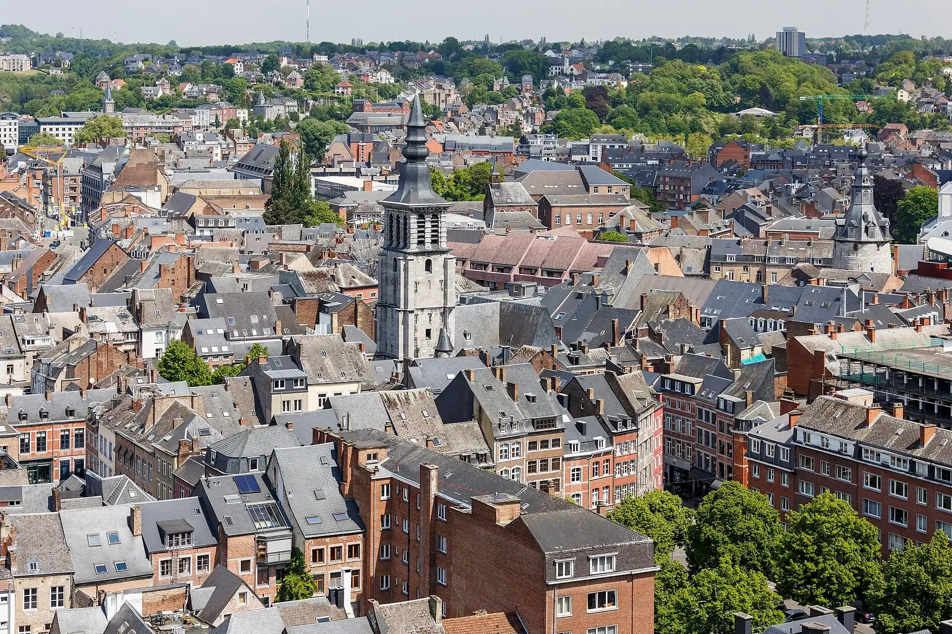 Namur from the citadel, with the belfry above the old town