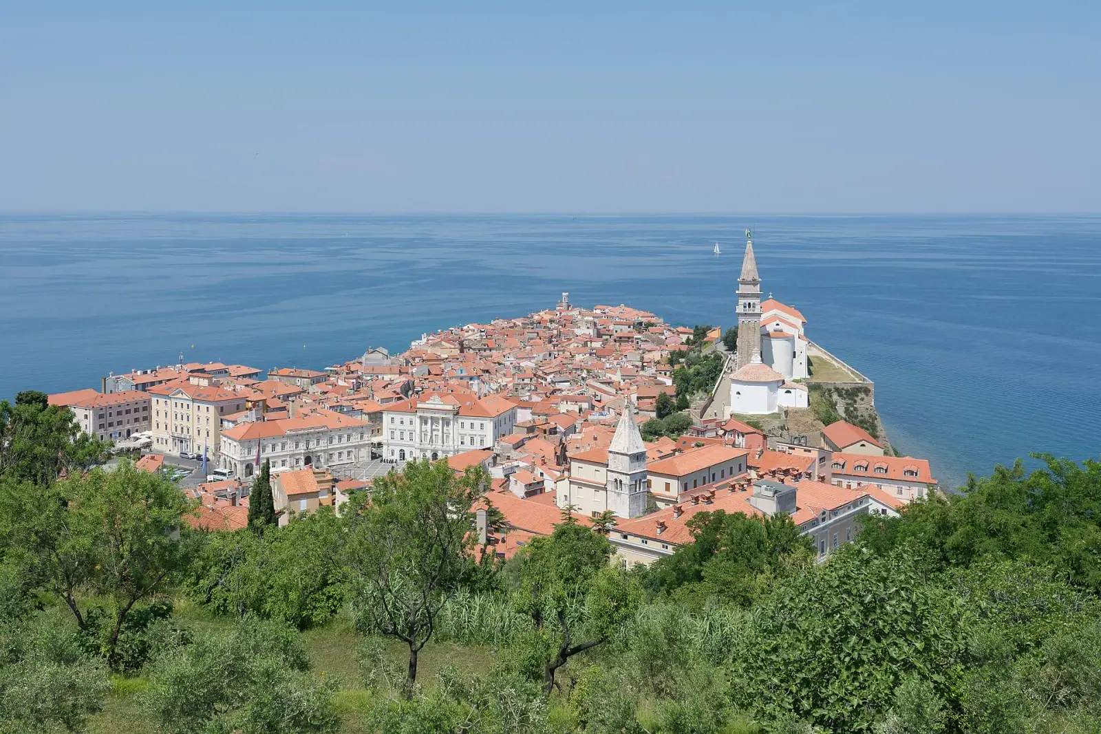 Aerial view of Piran old town peninsula with St. George's Church and the Adriatic Sea