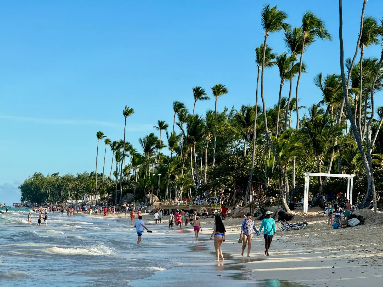 Playa Bavaro beach in Punta Cana with tall palm trees, white sand, and turquoise Caribbean water