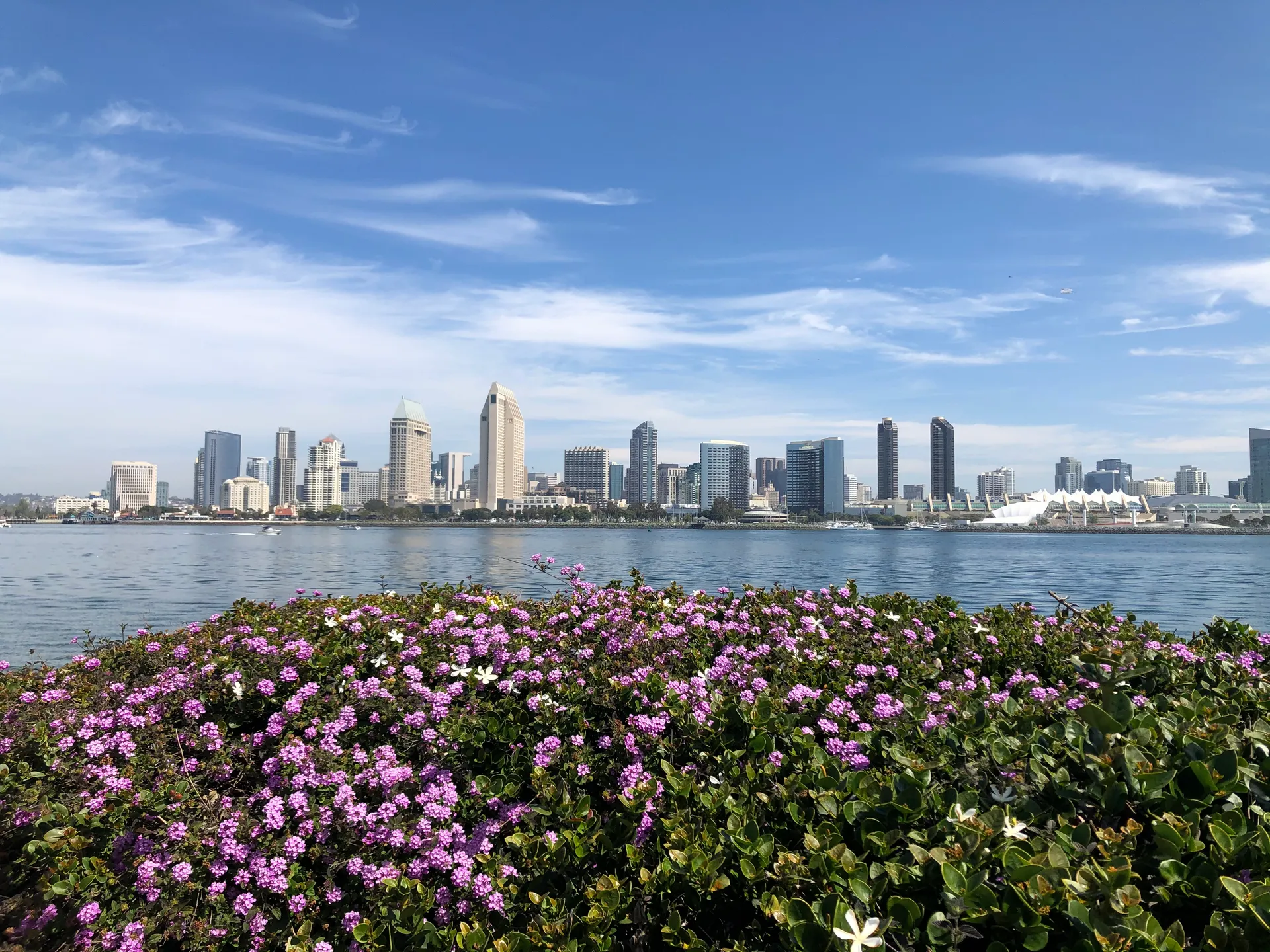 San Diego, United States