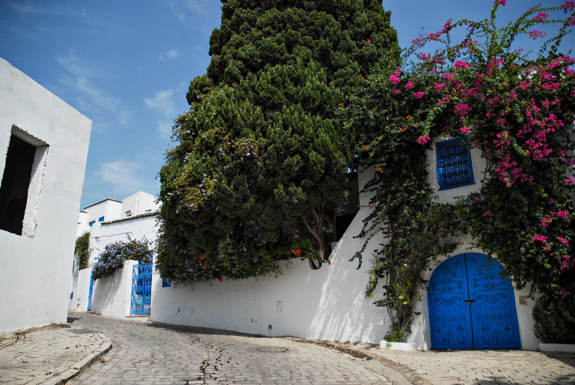 A blue-and-white lane in Sidi Bou Said, Tunisia
