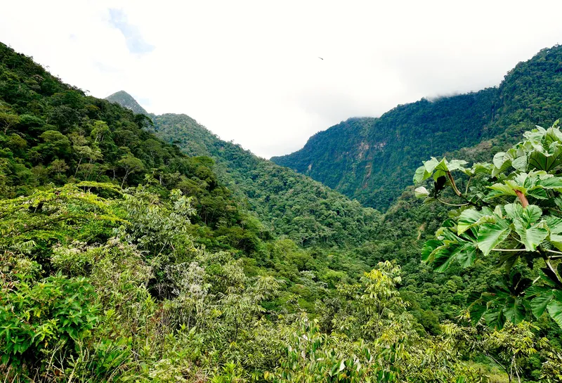 Tarapoto, Peru