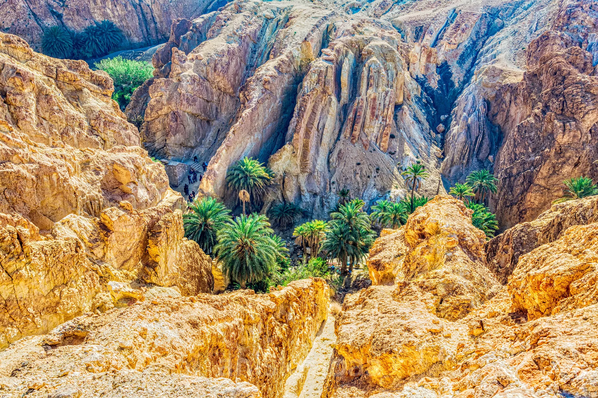 Palm oasis of Chebika in the mountains near Tozeur, Tunisia