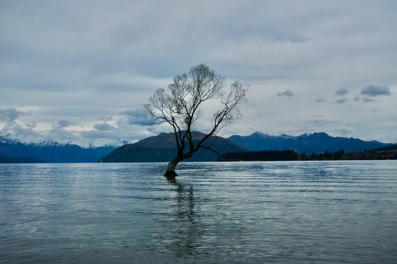 Wanaka, New Zealand