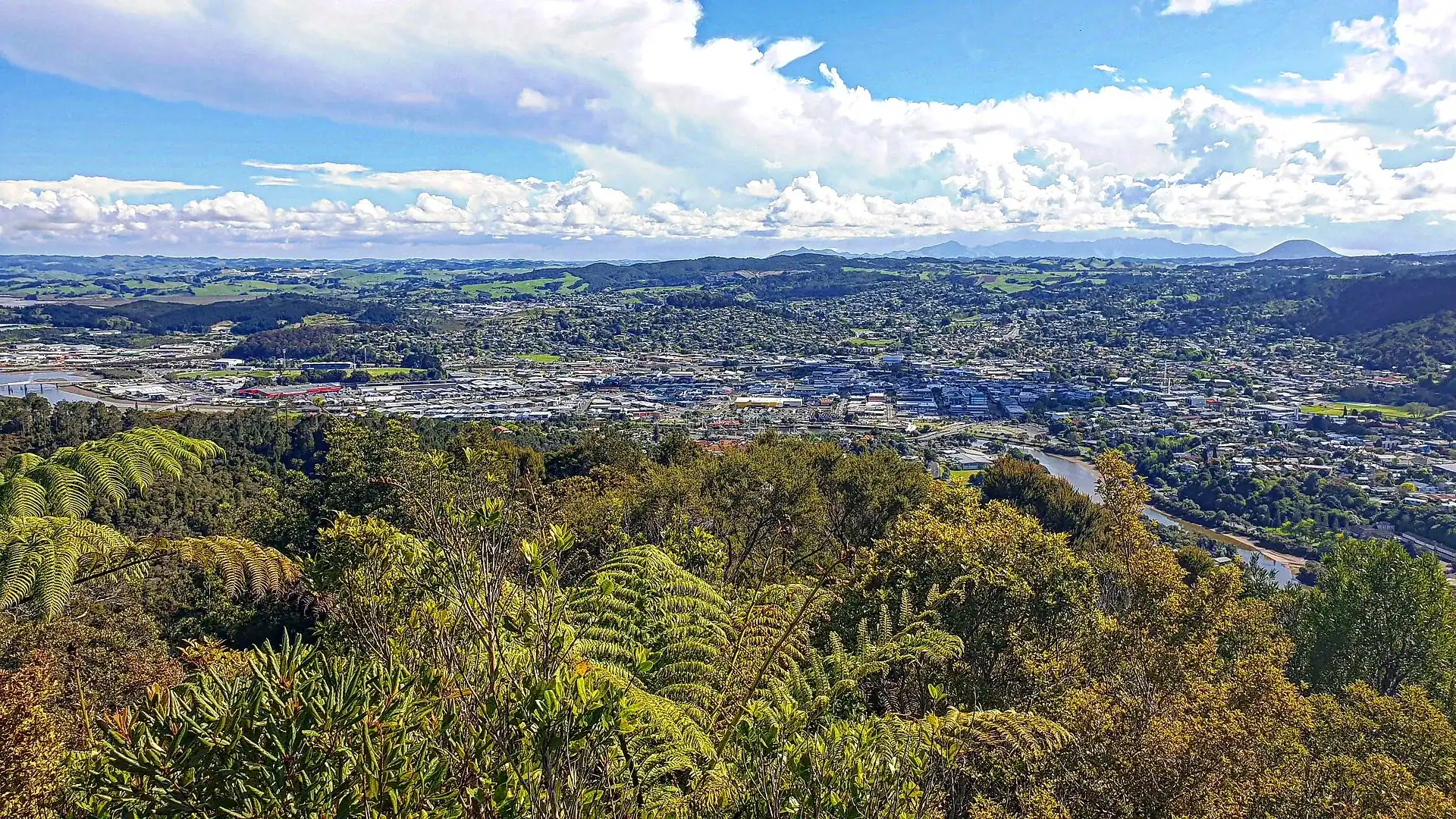 Whangarei and its harbour from Parihaka, above the city
