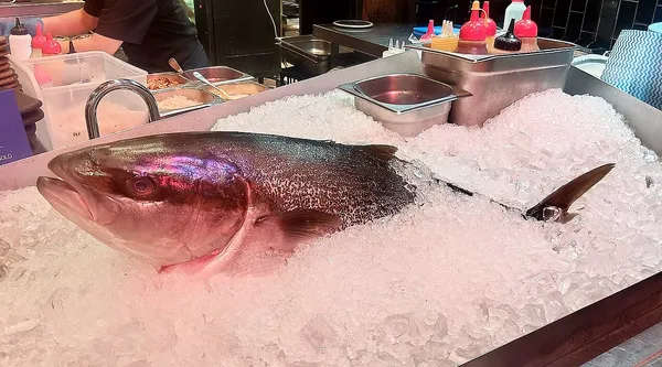 Yellowtail kingfish on ice at Akiba restaurant, Canberra